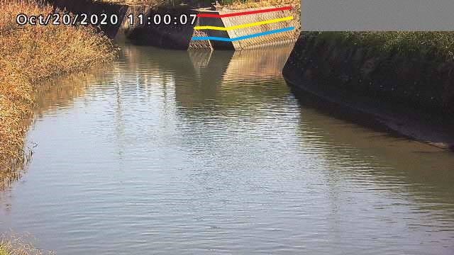 愛知県知多市 防災カメラ